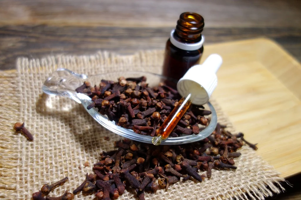 How to Make Clove Oil at Home – Simply & Easily