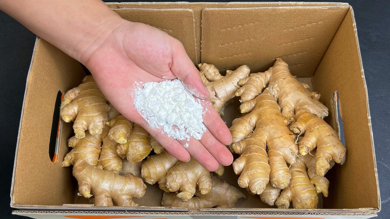 Tips for Preserving Ginger: Keep Ginger Fresh for a Long Time Using Baking Soda