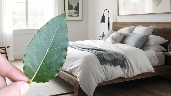 Benefits of a Bay Leaf Under Your Pillow: