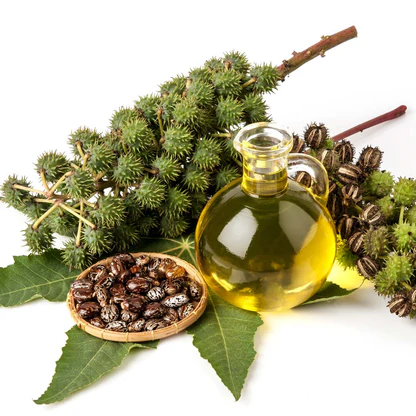 Castor Oil in Your Belly Button: Can It Really Help with Weight Loss, Digestion, Hair & Skin?