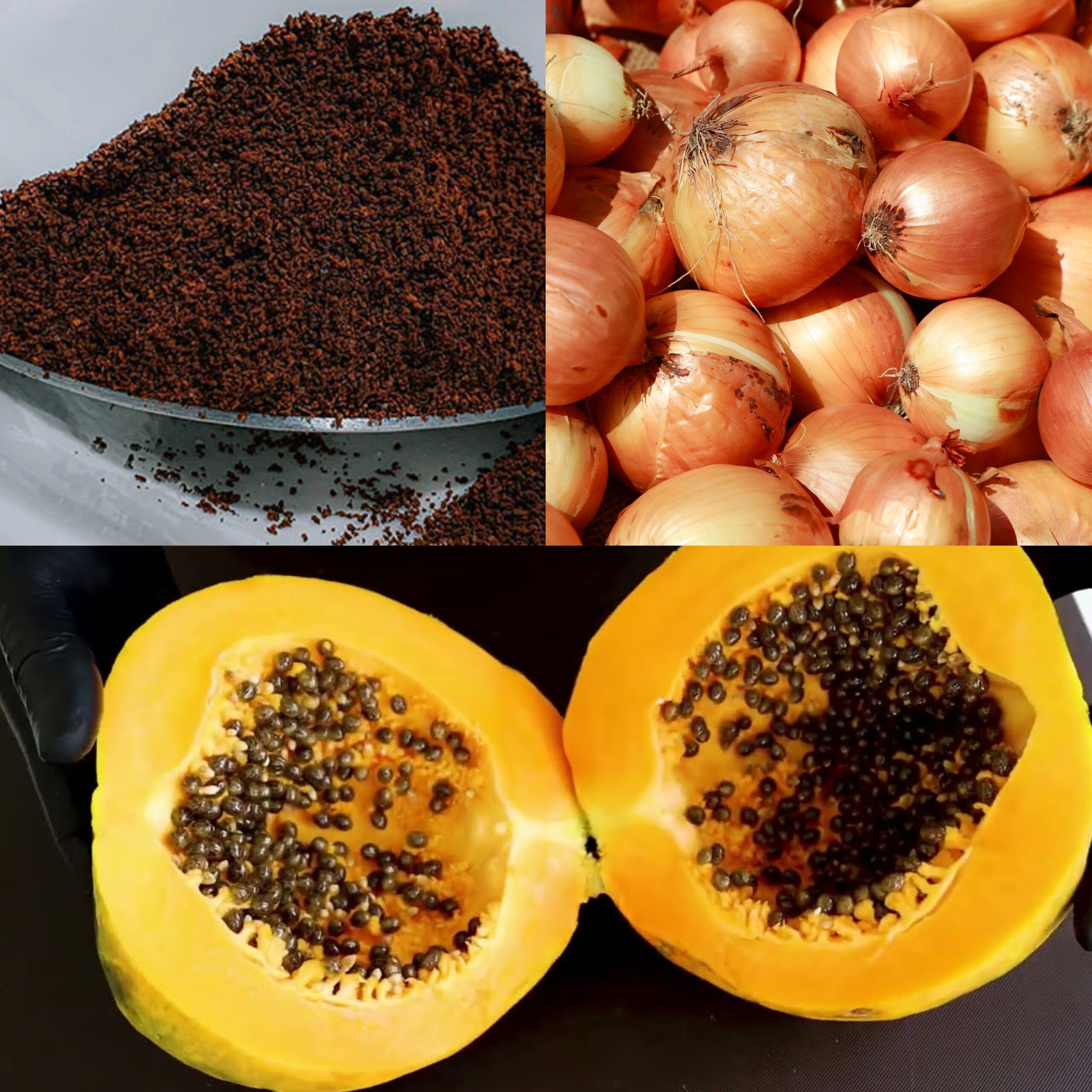 Natural Exfoliating Scrub Recipe: Papaya Seeds, Onion, and Coffee