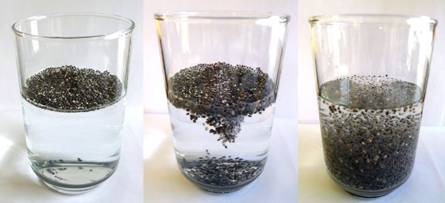 If You Eat Chia Seeds for 30 Days in a Row, THIS Will Happen to Your Body!