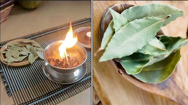 6 Amazing Benefits of Burning Bay Leaves