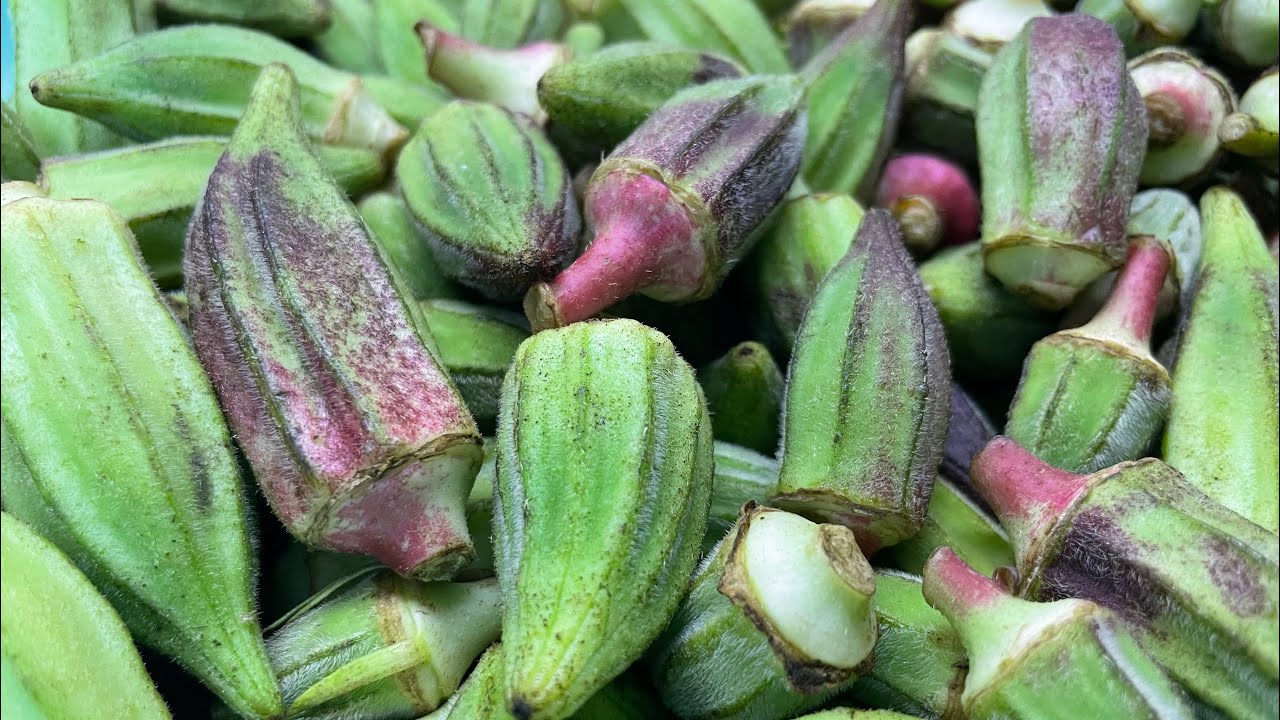 How to freeze okra