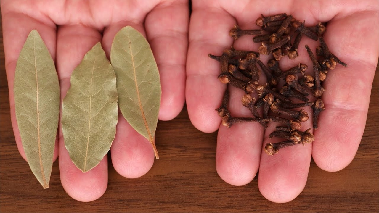 Reasons Why You Should Drink Bay Leaf and Clove Tea: Health Benefits and Herbal Tea Recipe 🌿☕