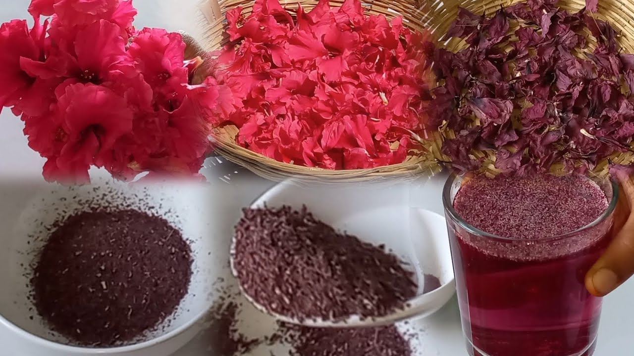 How to Make Natural Hibiscus Tea Powder at Home | Versatile and Healthy for Hair & Skin