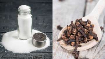 Secret to Keep Your Home Smelling Amazing: DIY Air Freshener with Cloves and Salt