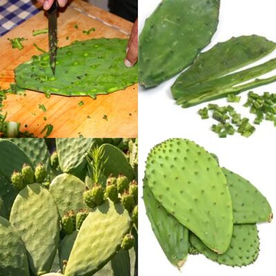 Nopal: A Nutrient Powerhouse