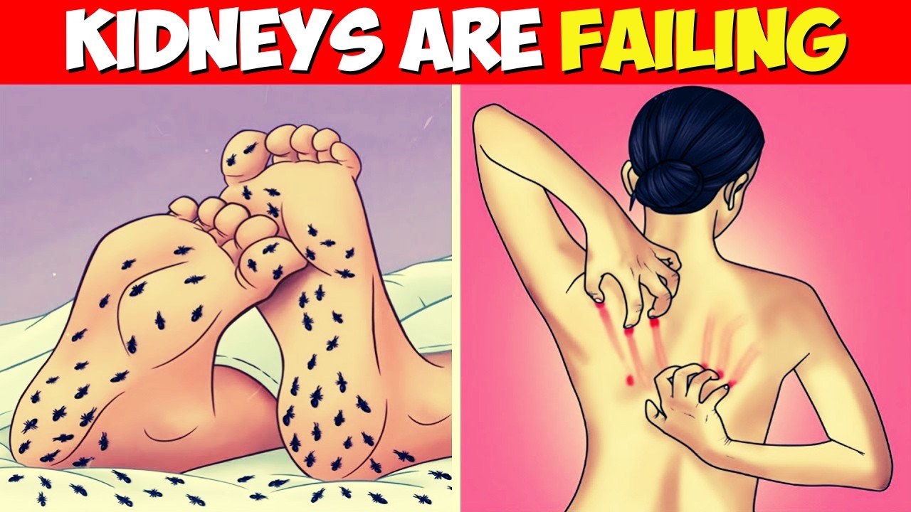 8 Strange Signs Your Kidneys Are Begging for Help – Need Urgent Attention! 🚨