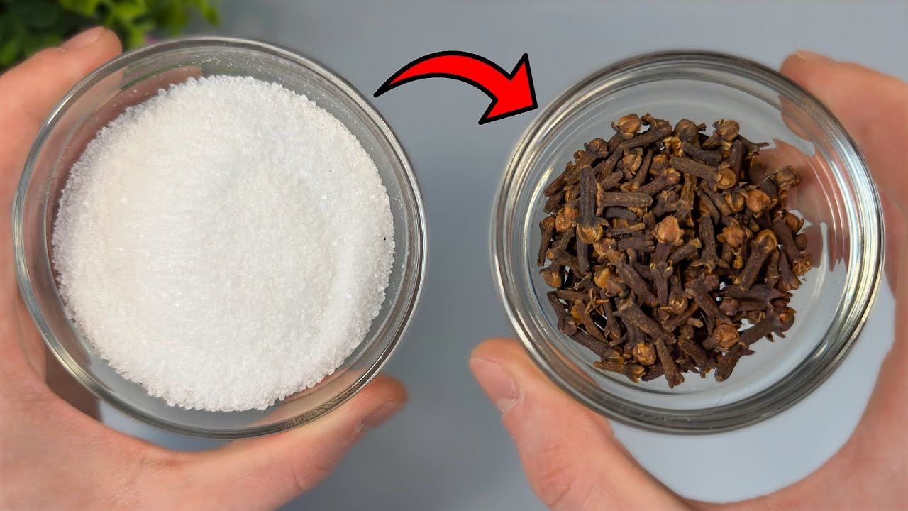 Unlock Savings with Baking Soda and Cloves: A Simple and Cost-Effective Mix