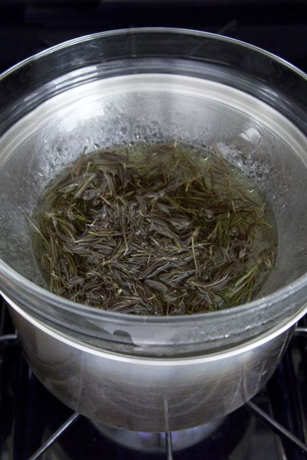 Rosemary: A Natural Boost for Circulation and Hair Health