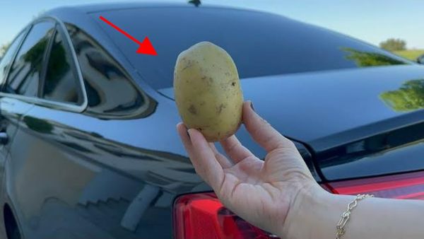 A potato in a car