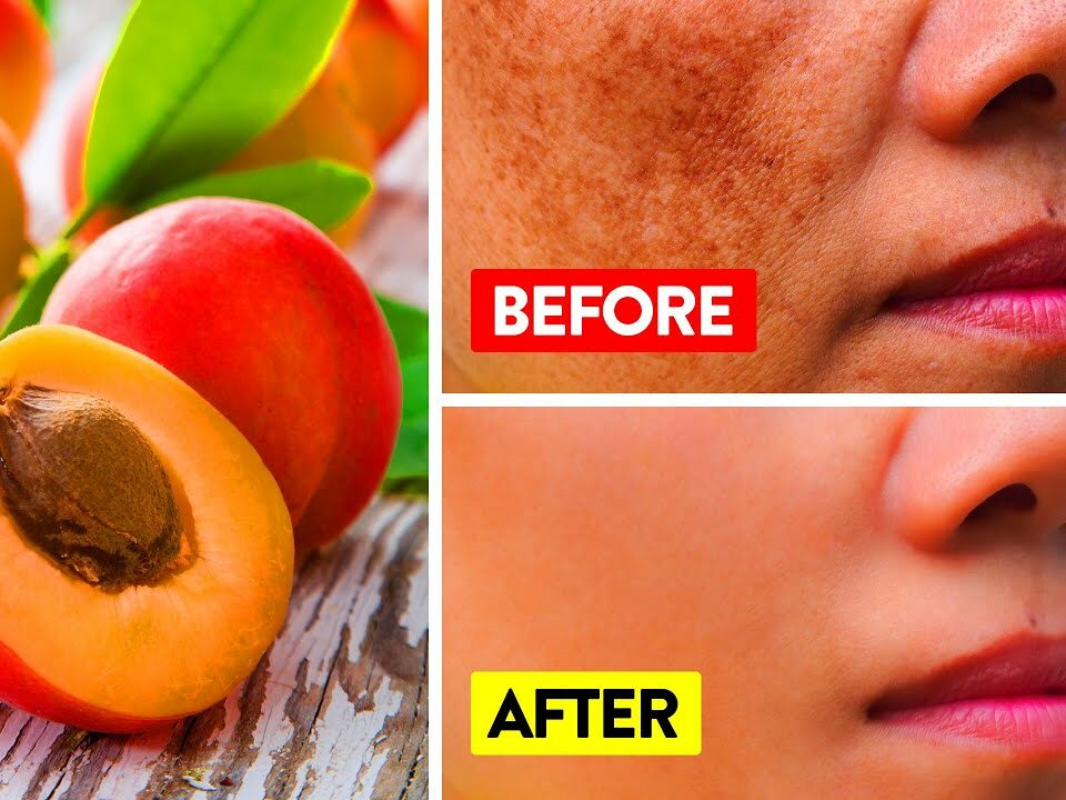 What Happens When You Eat Apricots Every Day | Benefits of Apricots ... What Happens When You Eat Apricots Every Day | Benefits of Apricots ...