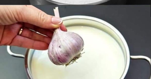 Garlic and Milk: A Surprising Health Duo You Need to Try