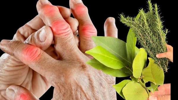 Bay Leaf: A Natural Remedy for Joint and Muscle Health – Green Tricks