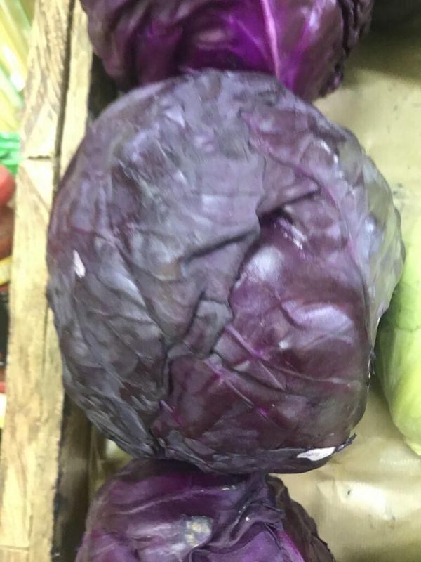 Purple Cabbage
