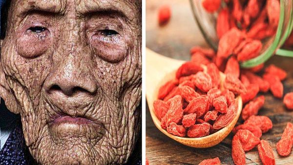 256-Year-Old World’s Oldest Man – Li Ching-Yuen and the Herbs He Took, Including Goji Berries ?
