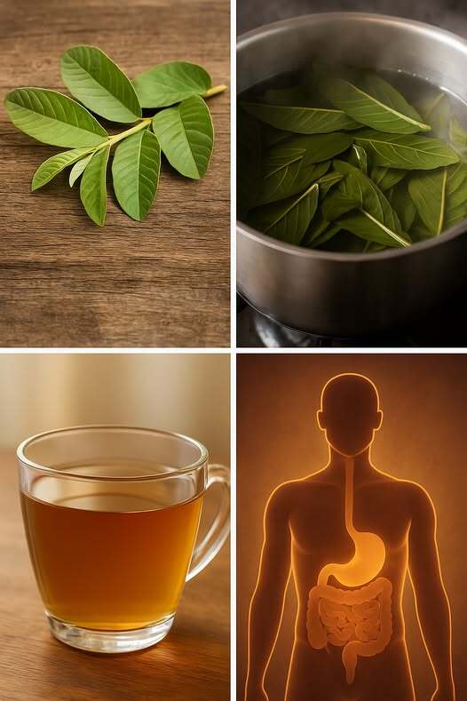 Boil Guava Leaves For These Incredible Health Benefits Green Tricks